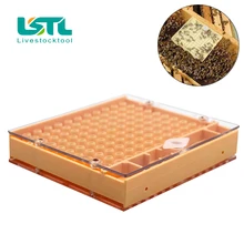 1 комплект оборудования для пчеловодства queen Bee Reaing Box пчелиные клетки для профессионального пчеловода apculture поставщика