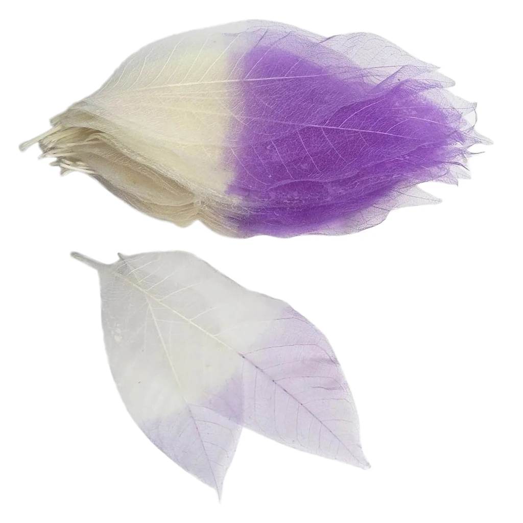 100 Pieces Magnolia Skeleton Leaf Leaves for Wedding Invitations Card Making Christmas Party Gift Wrapping Decoration
