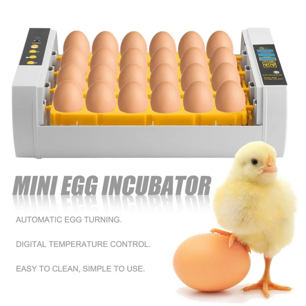 Практичный мини-инкубатор с 24 яйцами большой емкости для курицы, птицы, перепелиных яиц индейки для домашнего использования автоматический поворот яиц Прямая поставка