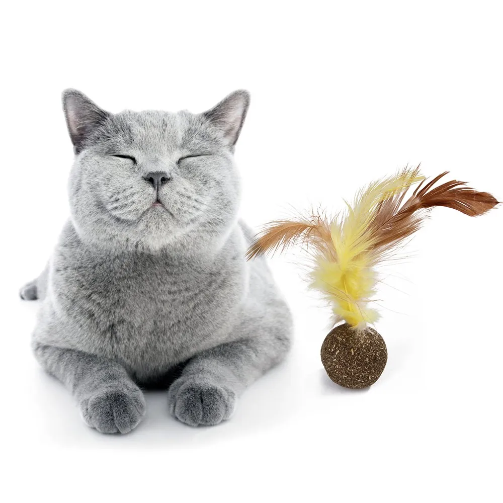 

Natural Cat Catnip Soft Feather Treat Balls Cat Toys Menthol Flavor Kitten Treat Ball Cats Playing Cleaning Teeth Toy Pet Supply