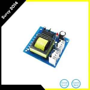 Inverter DC-AC//DC da 12V a 220 V Boost Step Up Power Supply Modulo da 40 W con doppio canale invertito Scheda singola