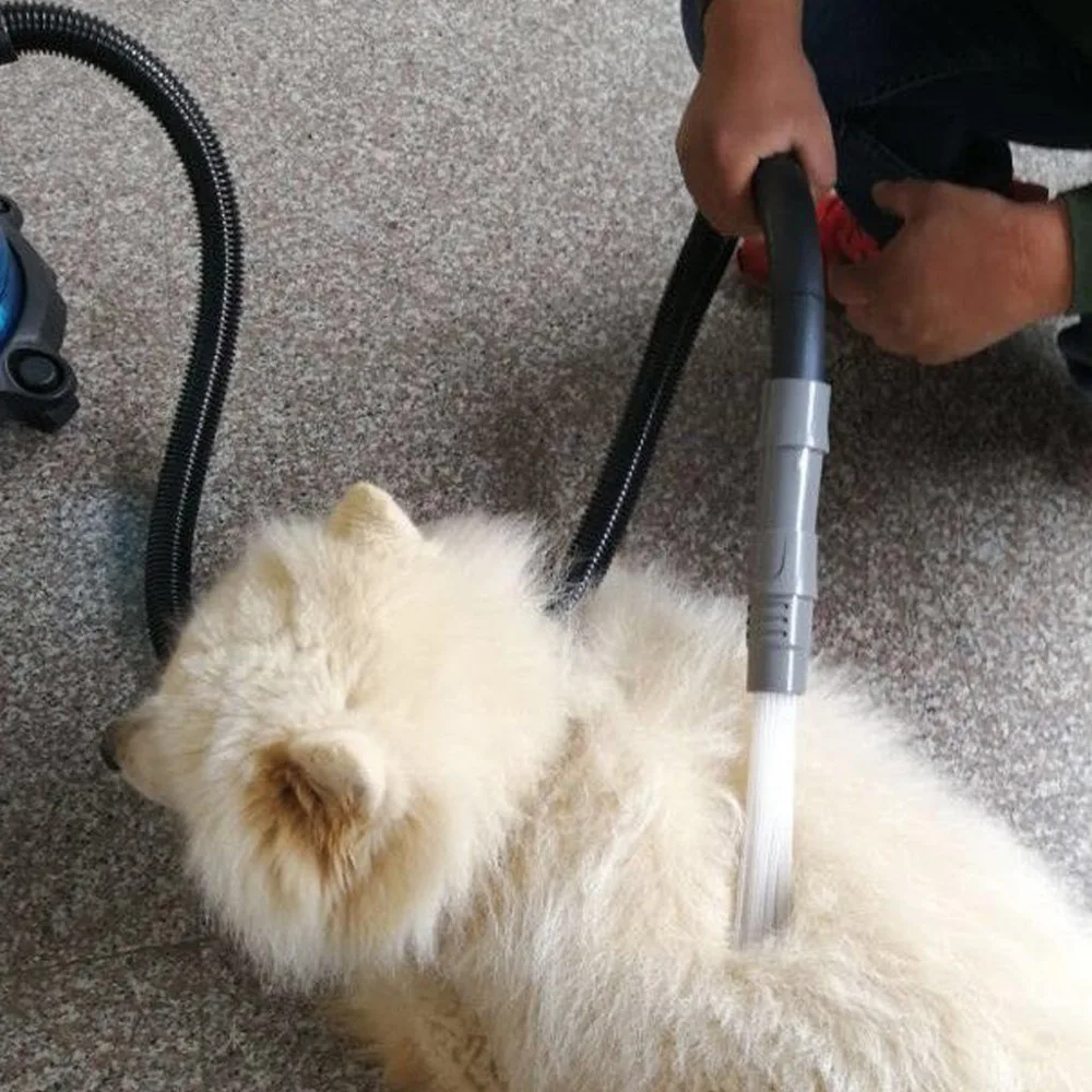 718bgS1chJL._SL1024_