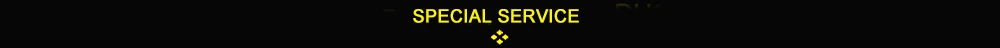 SPECIAL SERVICE