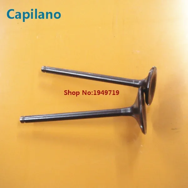 CBF150 engine valve (2)