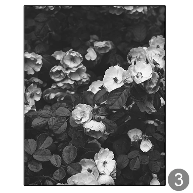 Minimalist-Black-and-White-Wall-Decor-Noble-Floral-Canvas-Art-Rose-Painting-Dew-Rose-Art-Poster.jpg_640x640 (2)