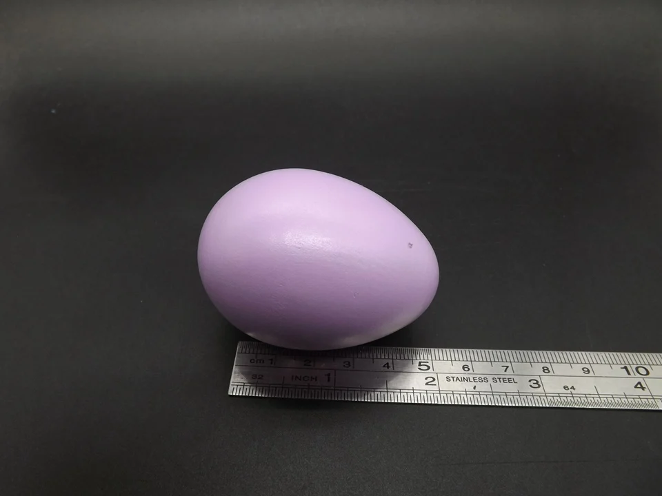 I433-Egg (10)