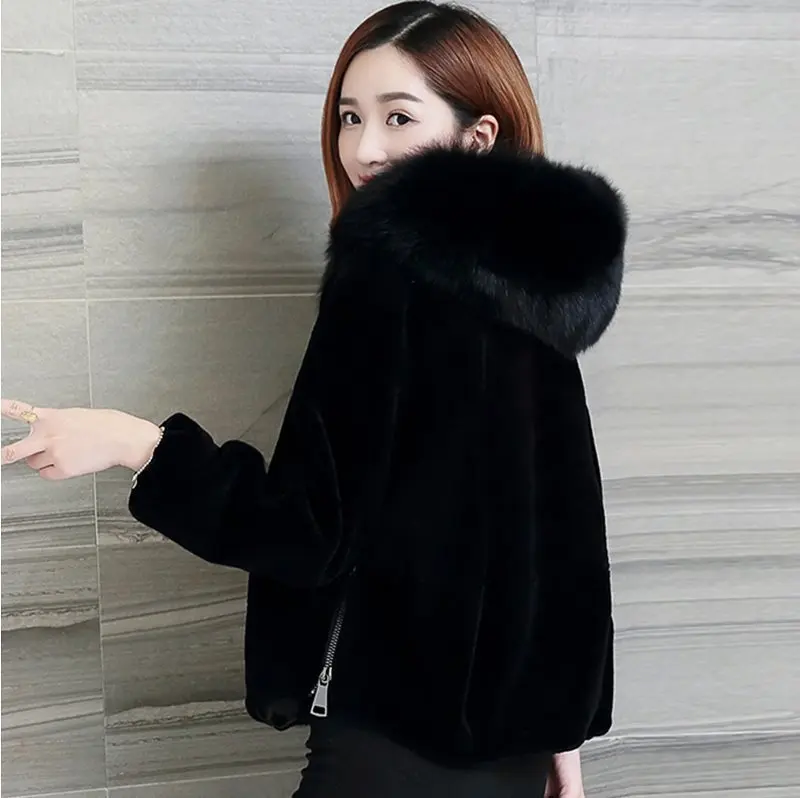 berne canvas jacket