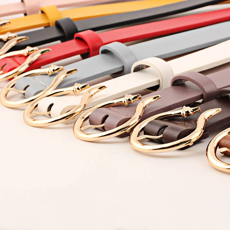 5093313690_109363456