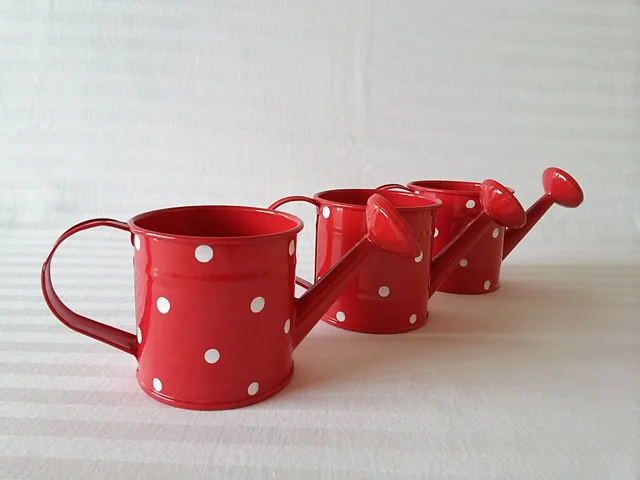 Wholesale Cheap Mini Party Favor Decorative Watering Cans Planter