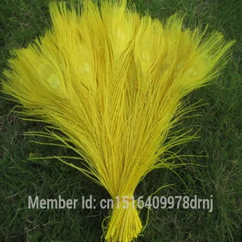 

Wholesale 100 pcs /lot yellow peacock feather 25-30cm / 10-12 inch DIY stage/ceremony/wedding/home vase decoration