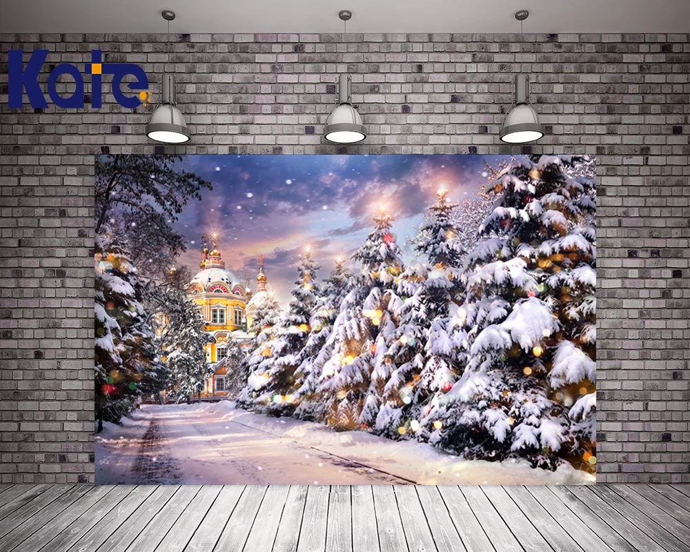 

Kate Backdrops Digital Printing Christmas Backgrounds For Photo Studio Frozen Snow Winter Photography Studio Backdrop