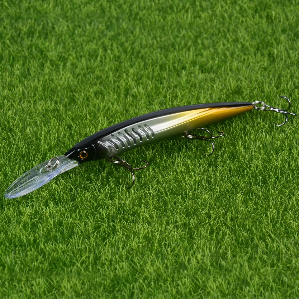 DSC_8404
