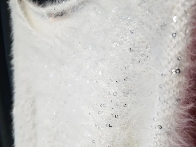 TB2jhi2XgFkpuFjSspnXXb4qFXa_!!35351297