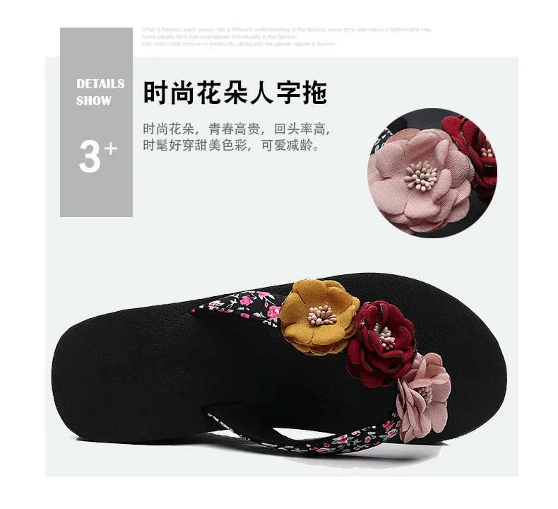 PR290101-ZQ01-_10