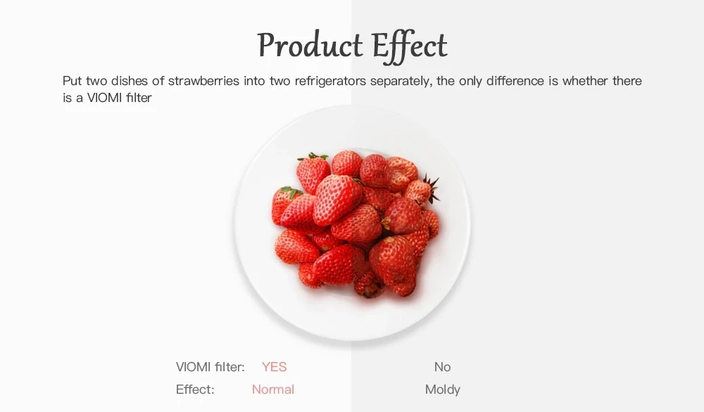 Original Herbaceous Refrigerator Air Clean Facility Filter for Vegetables Fruit Food Fresh Prevent Home kit