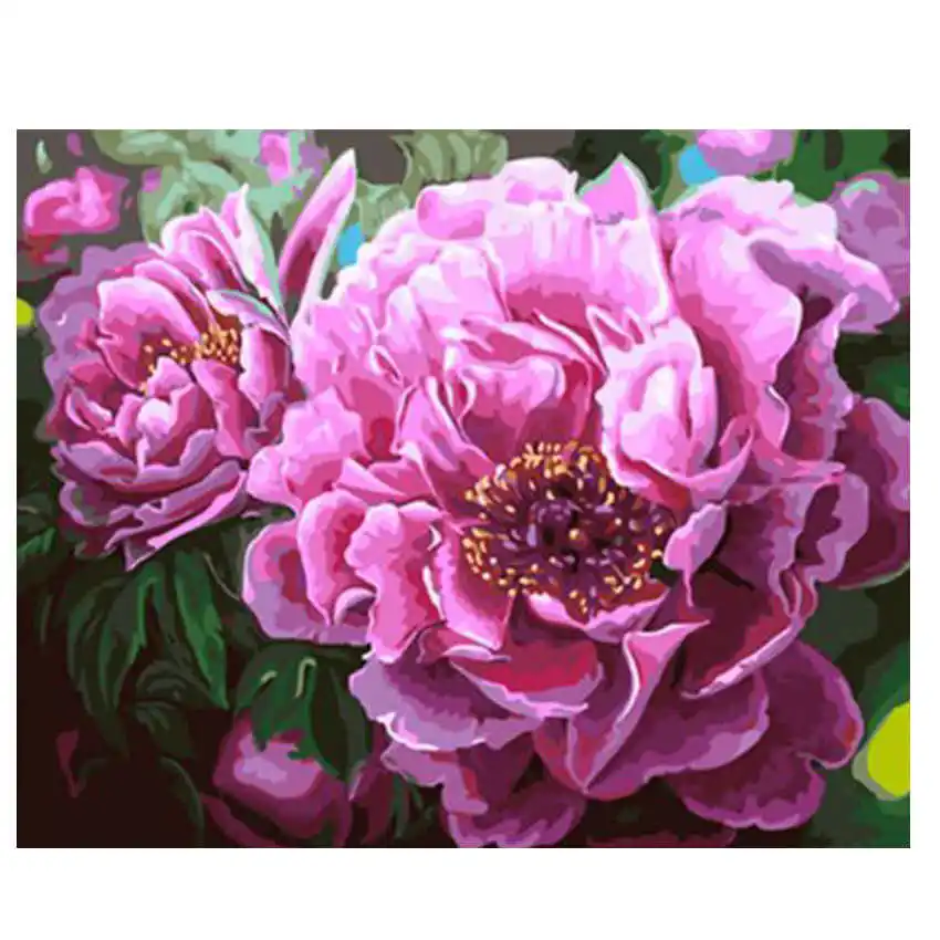 

Canvas Painting By Number 40x50cm,Hobby DIY,Flower Picture,Paint By Numbers