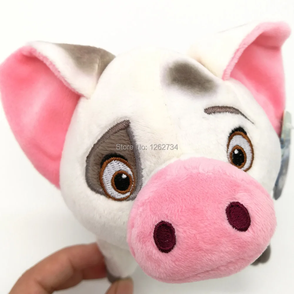 pet pig Pua-7inchL-70g-13-F