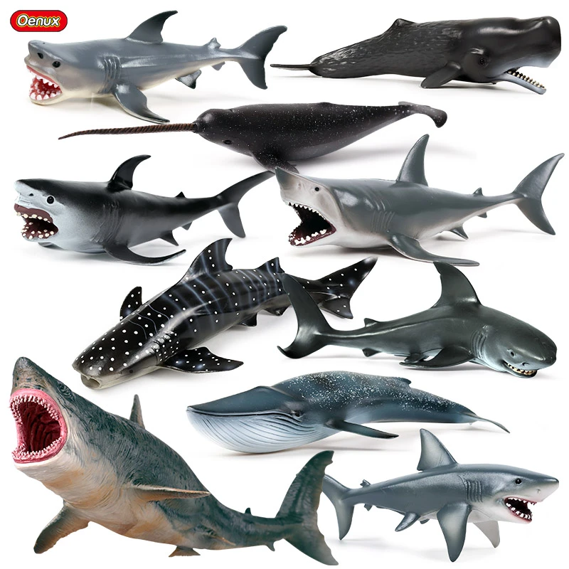 Oenux Sea Life Savage Megalodon Big Shark Orca Sperm Blue Whale Action Figures Ocean Life Animals Pvc Model Educational Kids Toy Action Figures Aliexpress