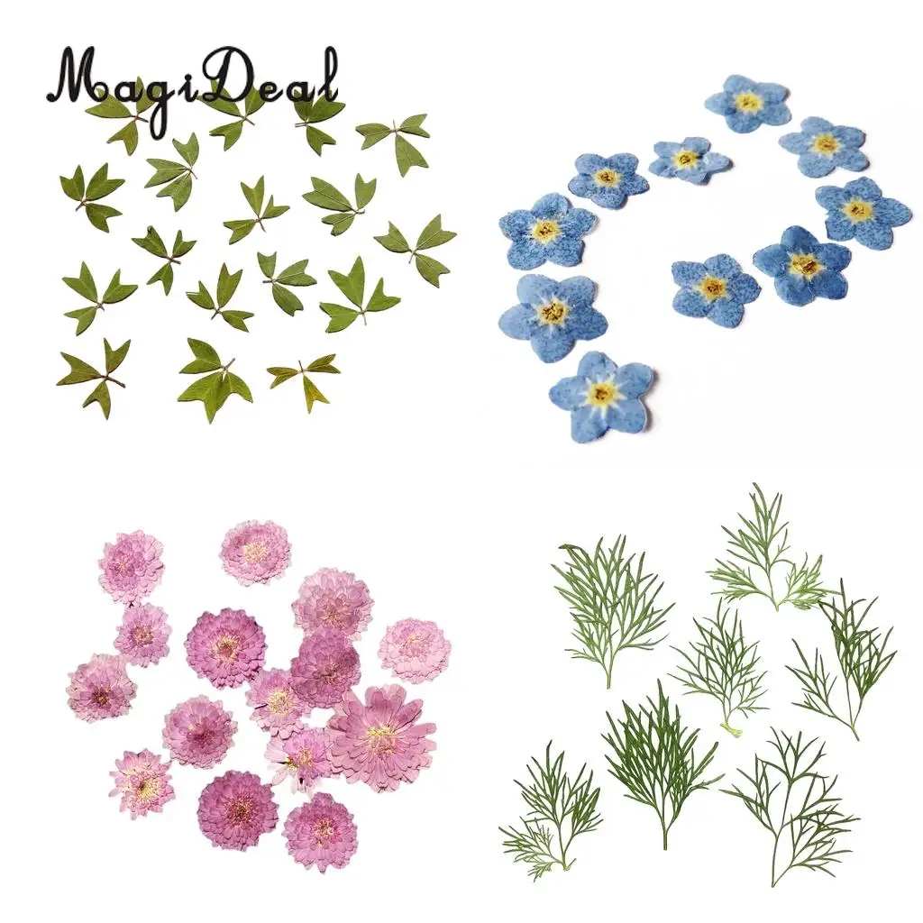 10x Pressed Real Dried Flower Dry Leaves for DIY Crafts Bookmark Card Making	