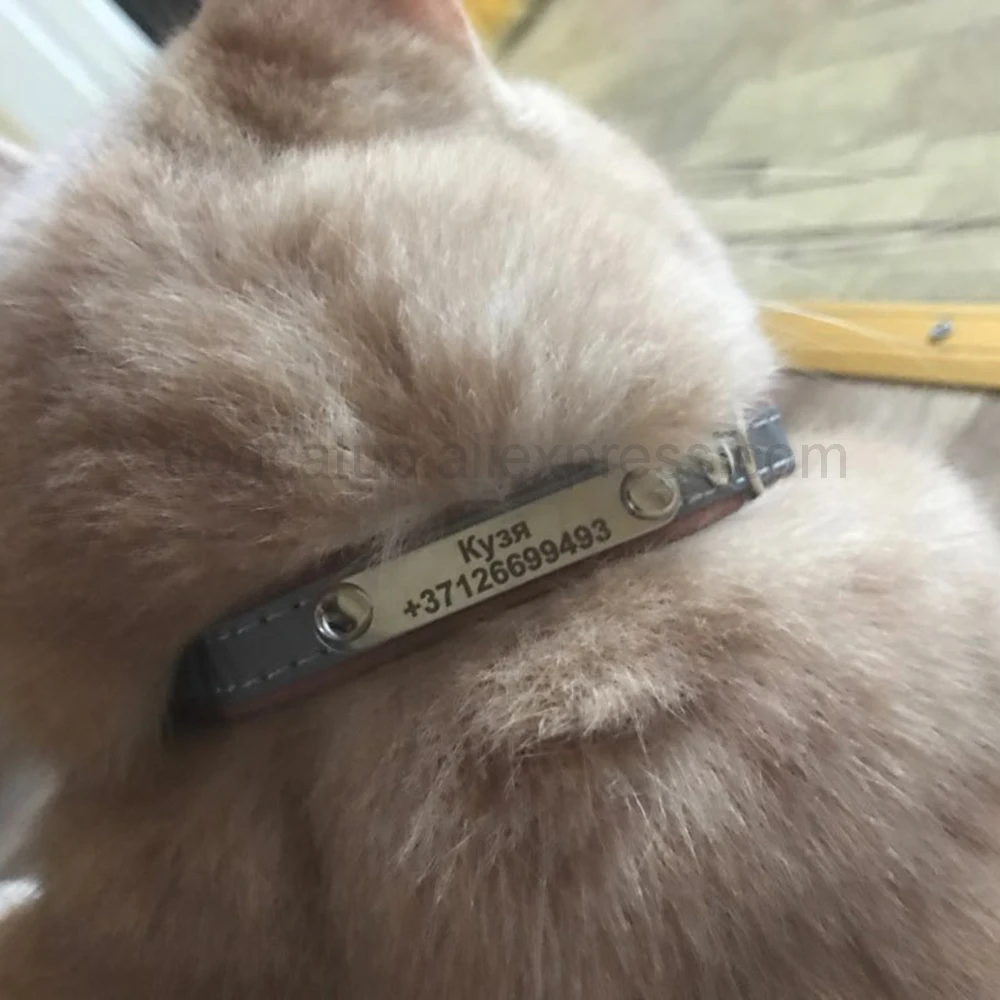 UTB8QqvLi3nJXKJkSaelq6xUzXXaz