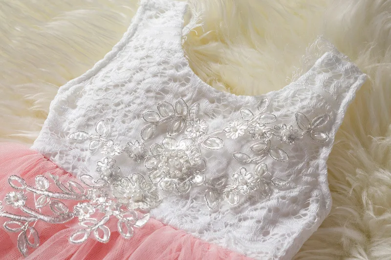 8460534929_1933995610