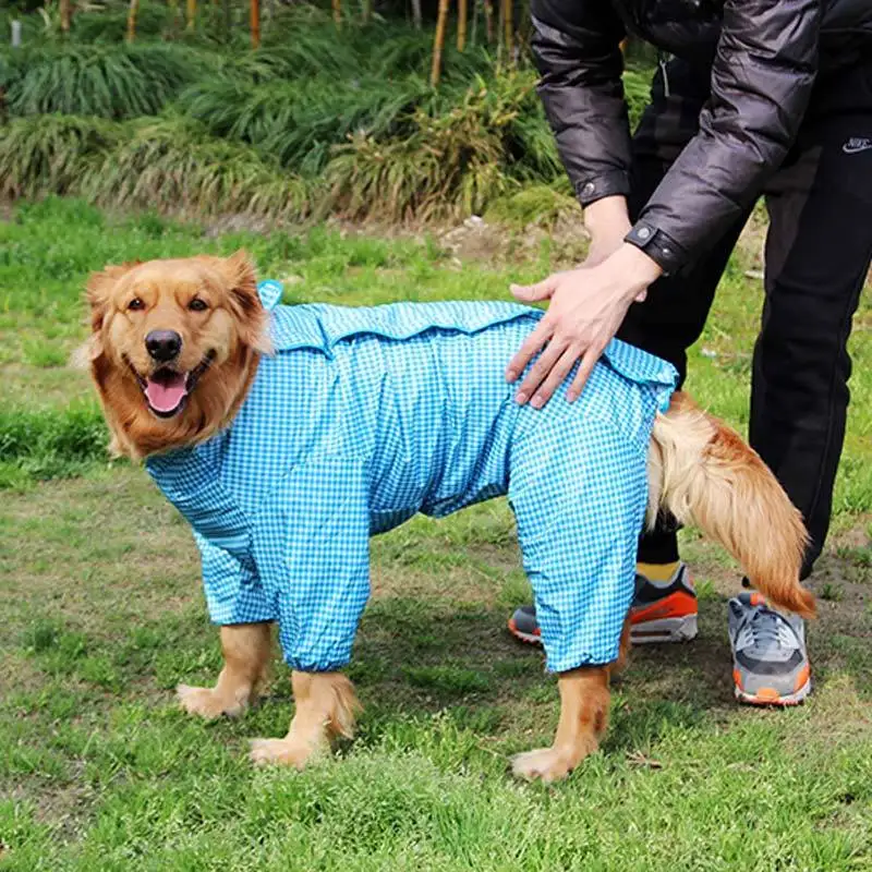 dogs husky clothes