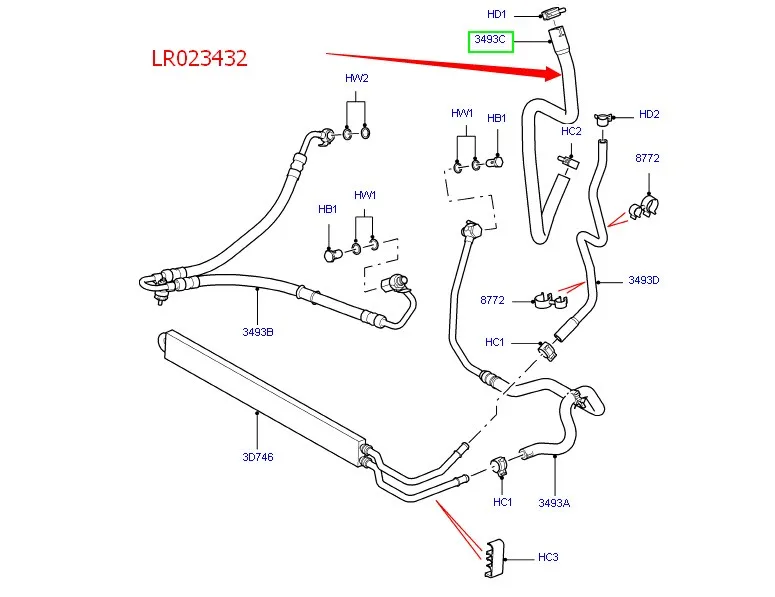 LR023432.JPG