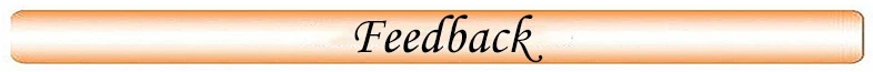 3 Feedback