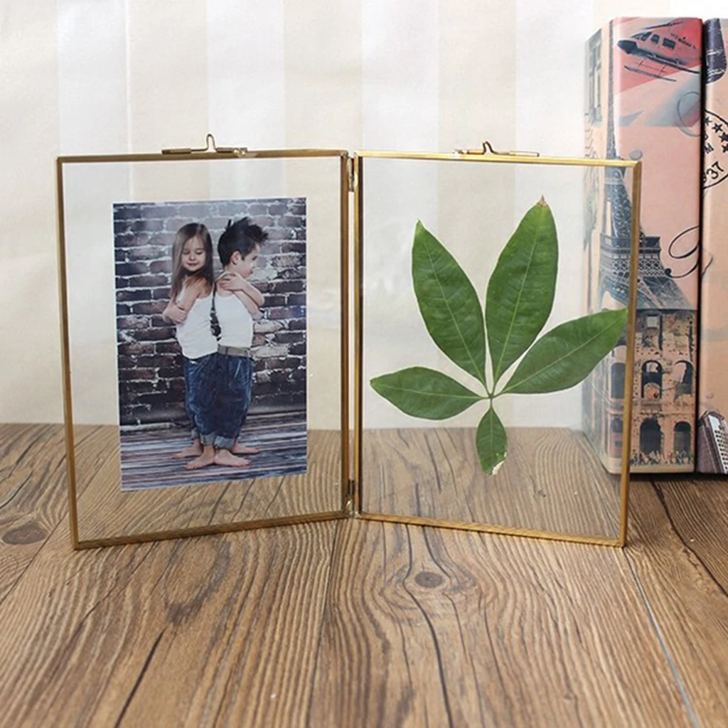 Hanging Picture Frame Wall Mounted Photo Frame Flower Plant Display Frame for DIY Wall Decoration, with 2 Sides Glass