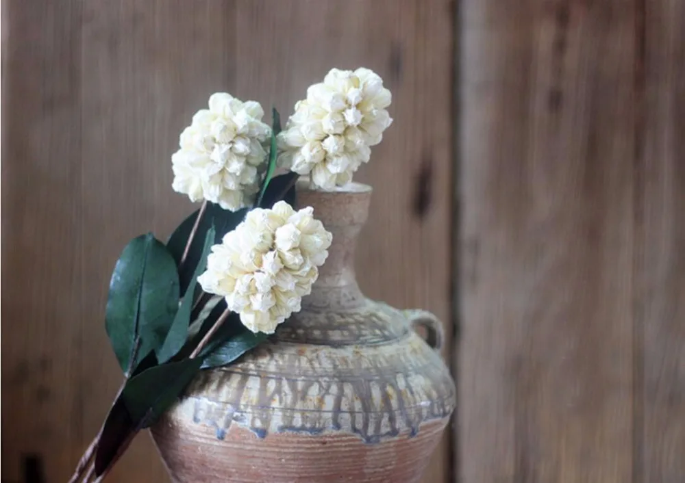Online Whole White Dried Flowers From China 5pcs White Hyacinth Dried Flower For Wedding Party Home Hotel Decoration Diy Bouquet Project Accessory