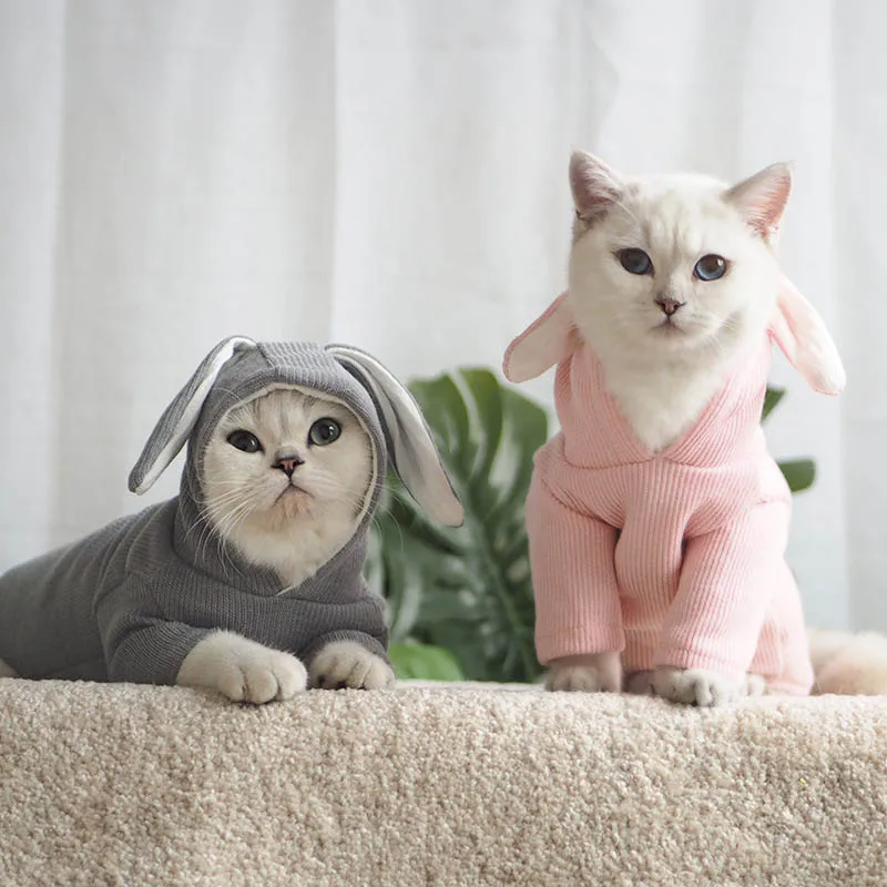

Solid Pet Cat Clothes Mascotas Cotton Warm Cat Clothes Winter Pet Puppy Kitten Coat Jacket For Small Medium Cats York Gatos
