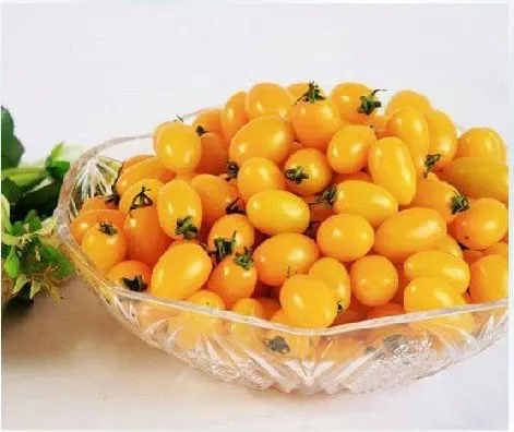 Business. mature cherry tomato confirm. agree Mature cherry tomato well you!