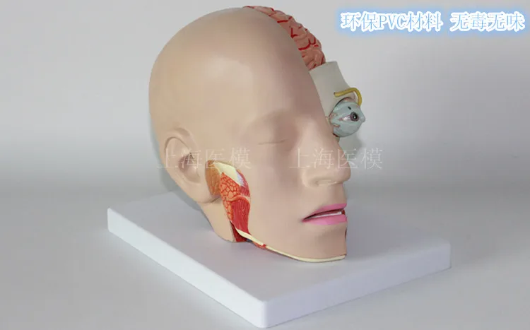 //img.alicdn.com/imgextra/i2/466366108/TB2HfrjXpXXXXbJXpXXXXXXXXXX_!!466366108.jpg