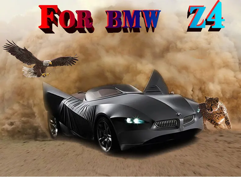 (790)Z4