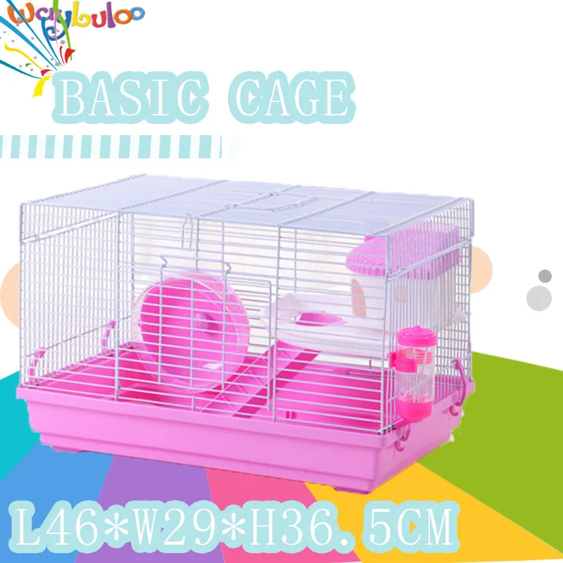 free guinea pig supplies