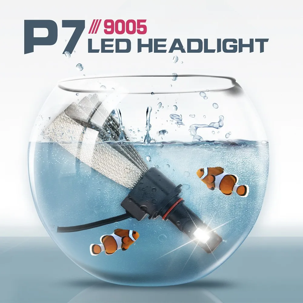 3111666213_1384817174