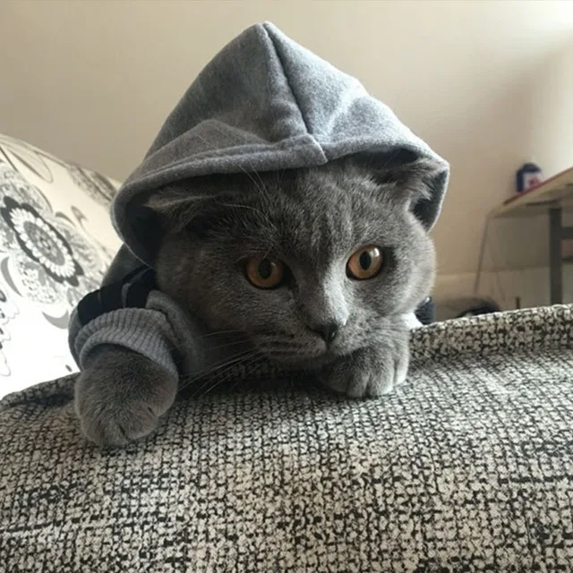 Autumn Warm Pet Clothes for Cats Pet Clothing Winter Clothing for Cats