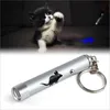 1 Pc Drôle Pet LED Laser Jouet Chat Laser Jouet Pour Chats Chat Laser Pointeur Stylo Jouet Interactif Avec Lumineux animation Souris Ombre ► Photo 2/6