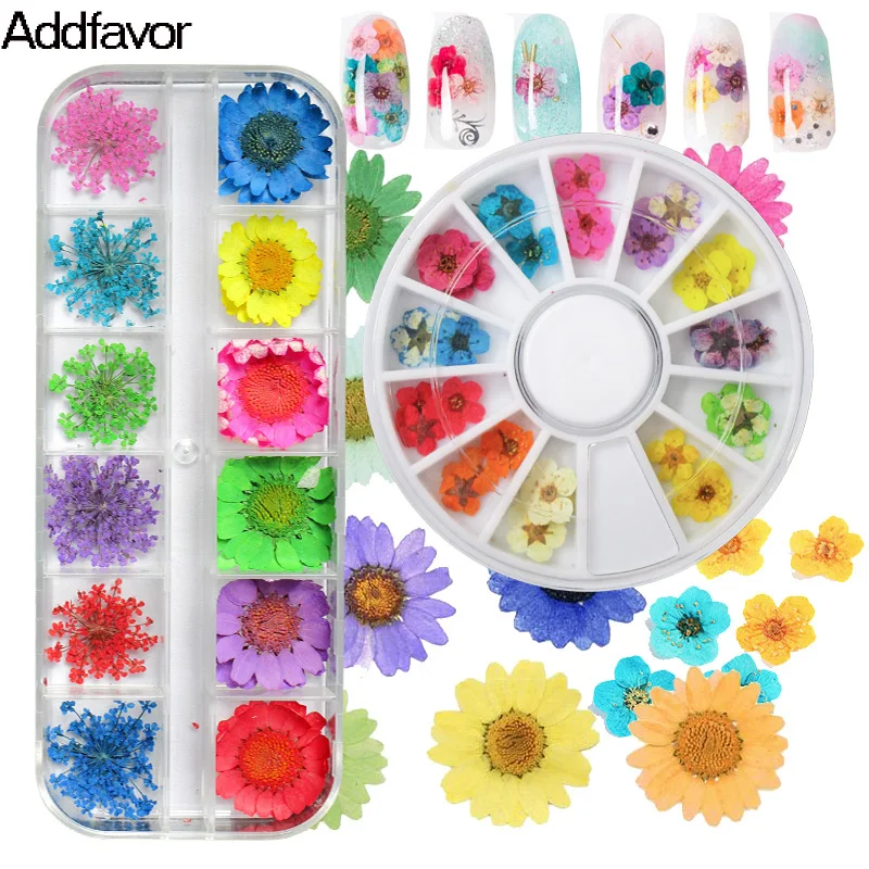 

1Pack 12Color Real Nail Dried Flower Petals for Nail Art Gel Design Floral Press Dry Nail Flowers Foil Nail Decoration Body Art