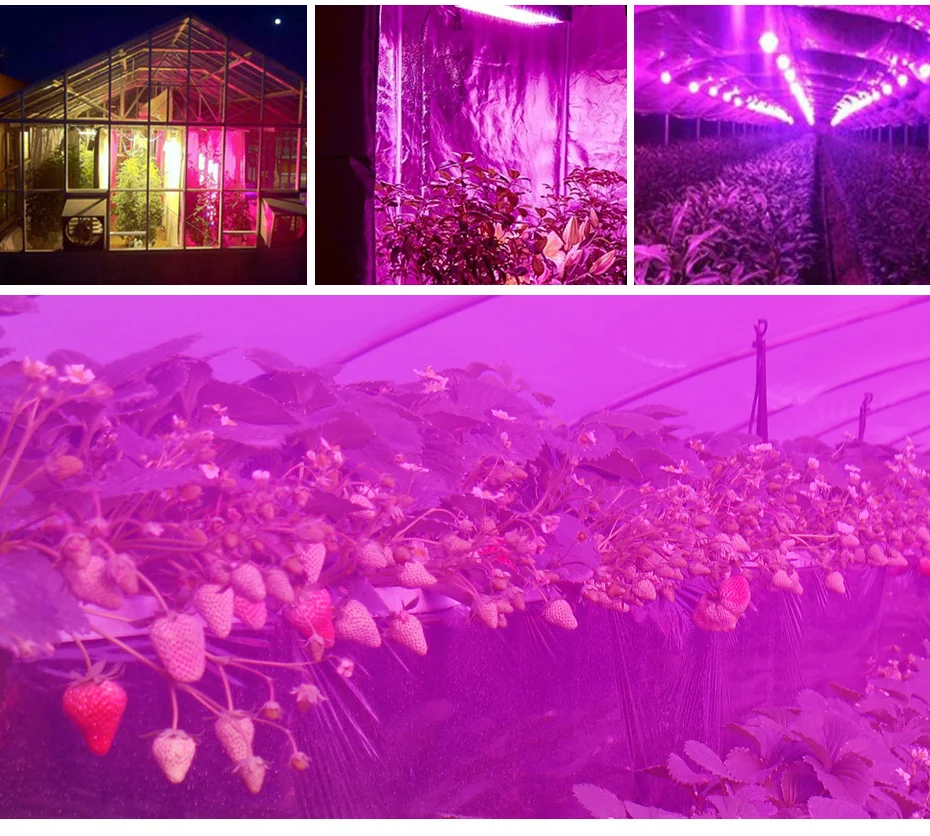 Растущие лампы светодиодный свет для выращивания 25 Вт 45 Вт AC85-265V полный спектр растительного освещения Fitolampy для выращивания растений