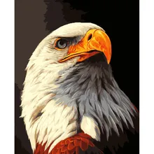 Орел ручной работы Краска высокого качества Холст Красивая краска ing по номерам Сюрприз подарок большое удовлетворение