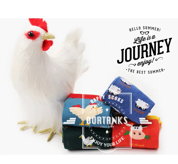 9051679268_935793692