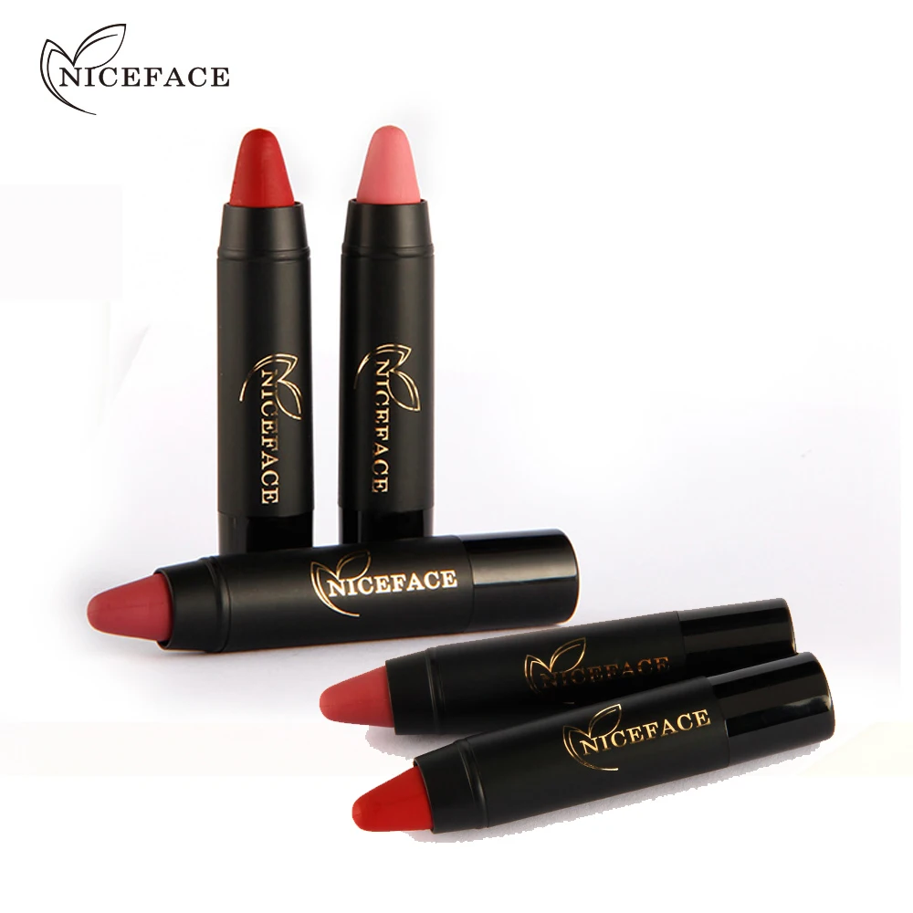 Soft Texture Matte Lipstick Set Long Lasting Waterproof Lipstick Pen Pencil Lip Sexy Lip Makeup Cosmetics Kit (10)