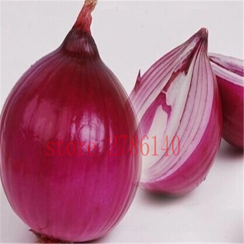 

100 capsules of onion bonsai, easy to grow is a high-nutrient vegetable especially suitable for planting in the home courtyard.