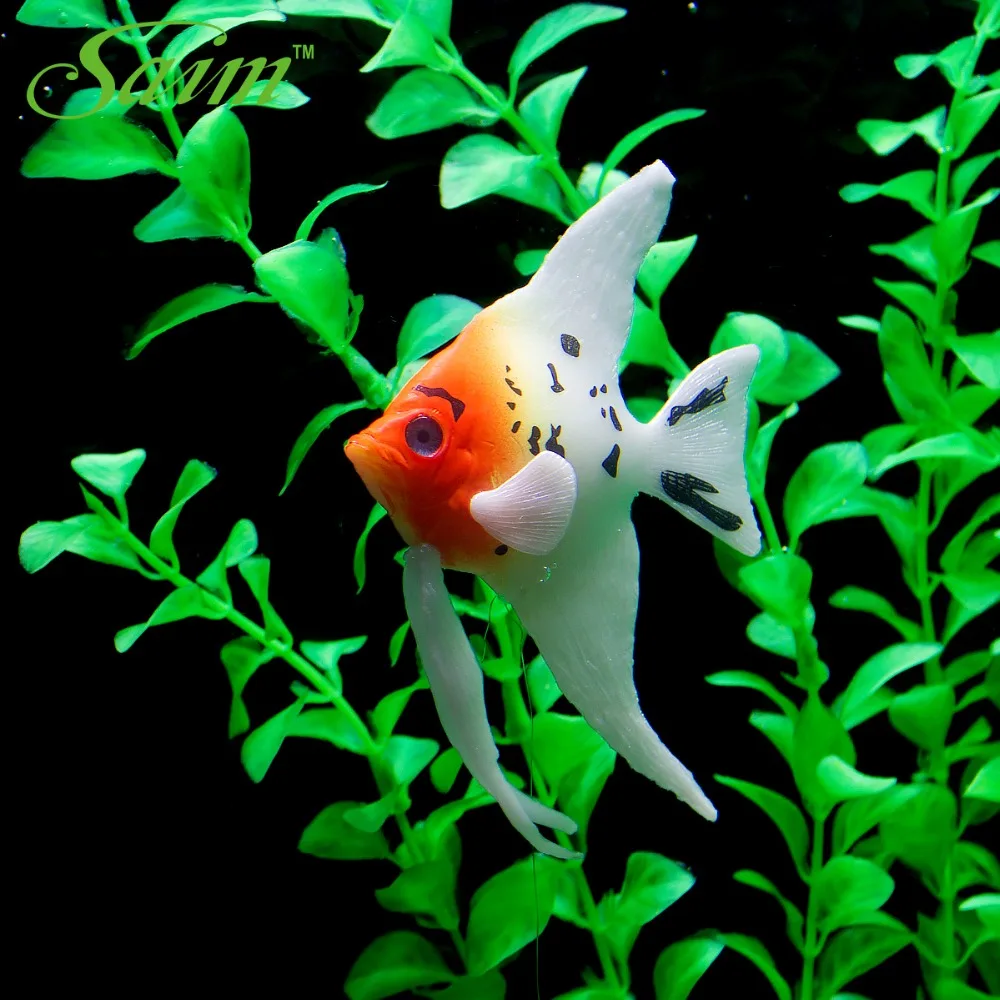 Золотые Рыбки Аквариумные Купить В Спб