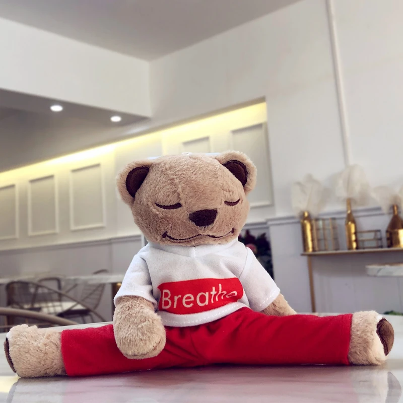 Чехол для телефона Yogi Bear Huawei Nova 5i 5p 3 3i 3e милый теплый пушистый чехол 2S plus lite