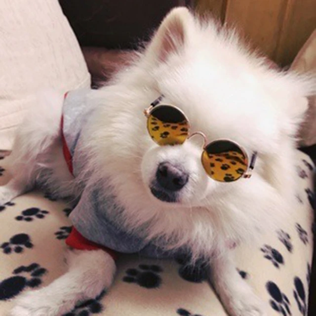Doll Toy Cool Sunglasses For BJD Blyth American Grils Glasses Pet Toy Photo Prop Pet Glasses Toy Doll Sunglasses 3