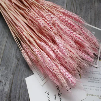 

50Pcs/Bunch New Home Decorations Bouquet Natural Wheat Dried Flowers Hot Art Shooting Props Party DIY Decoration