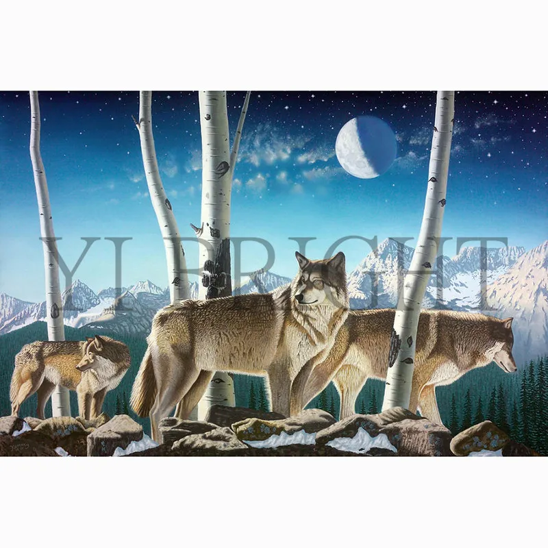 Gray Wolf Twilight 