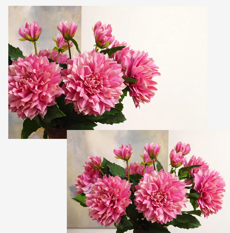 06 Product Color